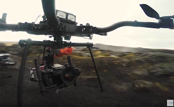 Parrot 
      AR Hope 
      MI 48628